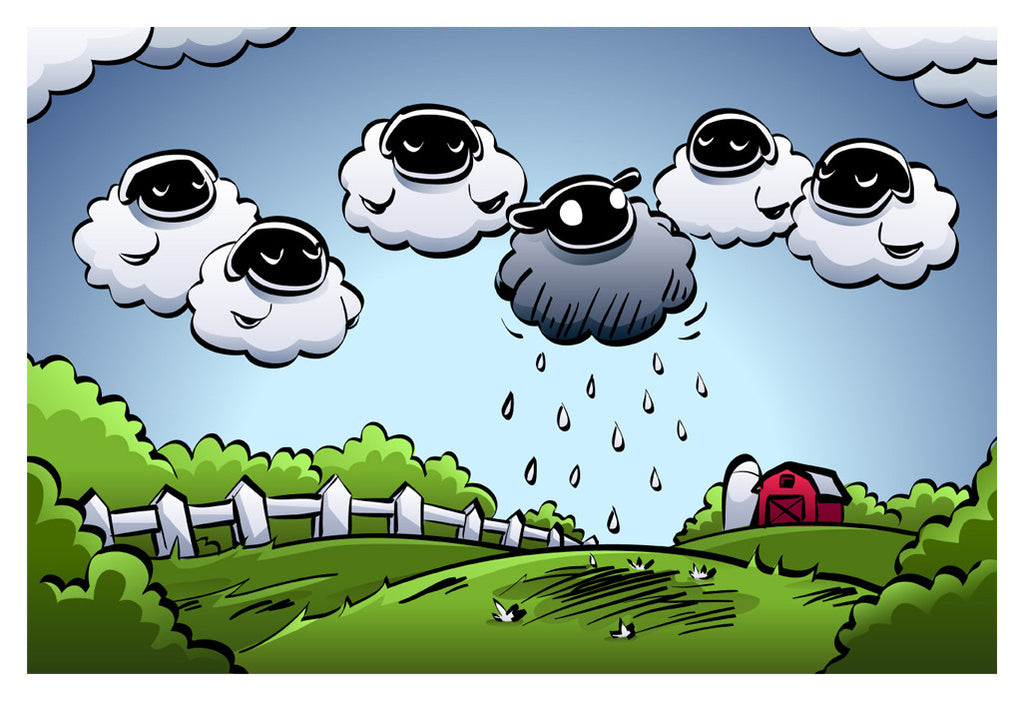 Sheep Rain (13x19)