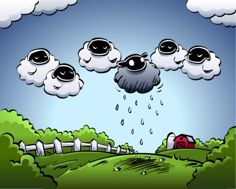 Sheep Rain (8x10)